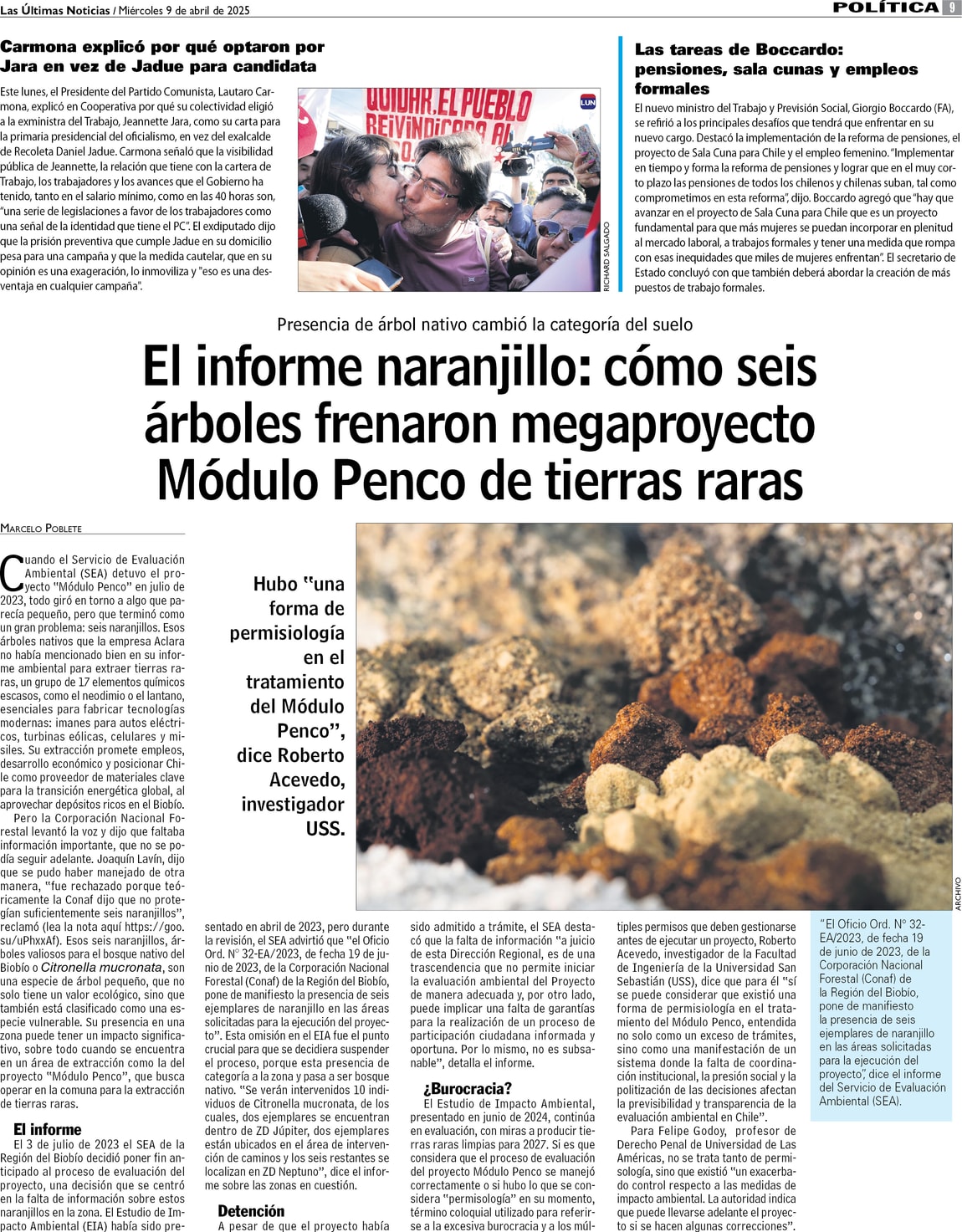 El informe naranjillo: cómo seis árboles frenaron megaproyecto Módulo ...